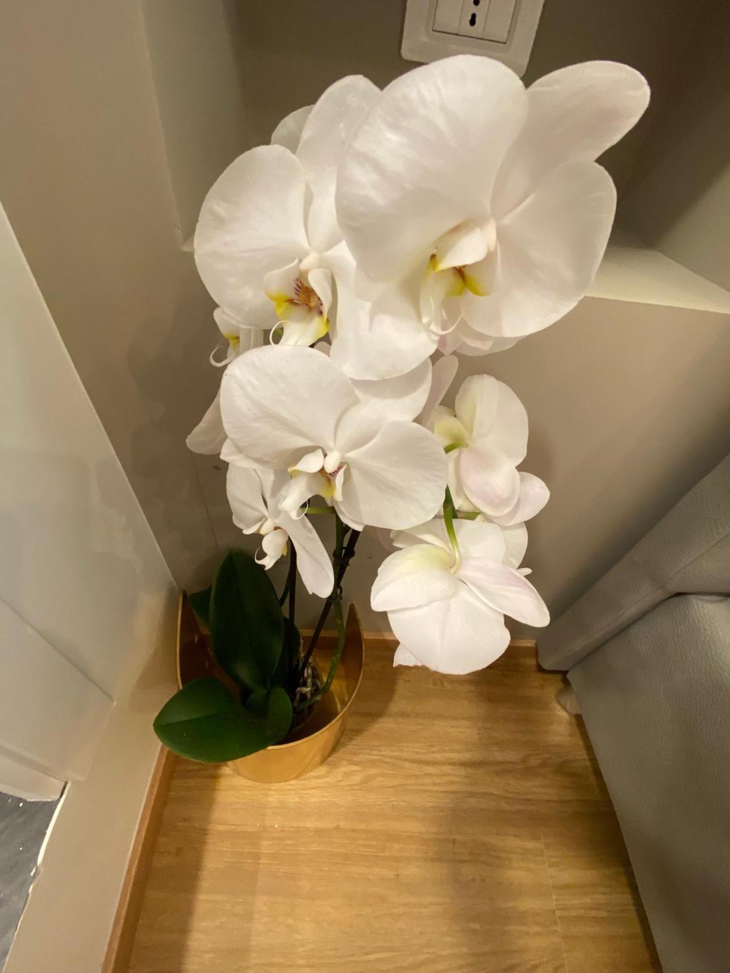 De Vince Suites - Luxury Rooms - Roma Termini エクステリア 写真